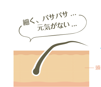 細く、パサパサ…元気がない…