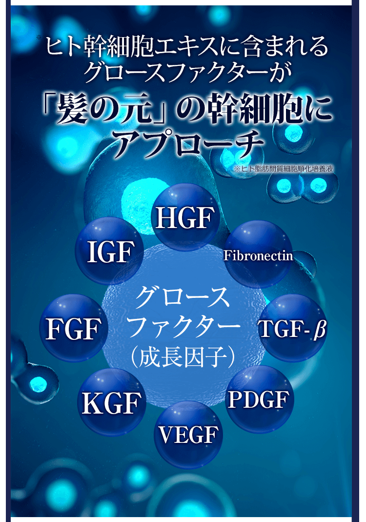 ヒト型幹細胞に含まれる成長因子 GF