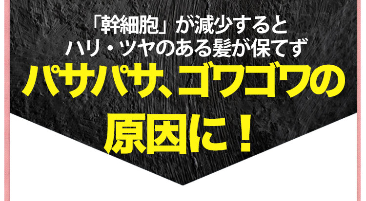 「幹細胞」が減少するとハリ・ツヤのある髪が保てず髪トラブルの原因に!