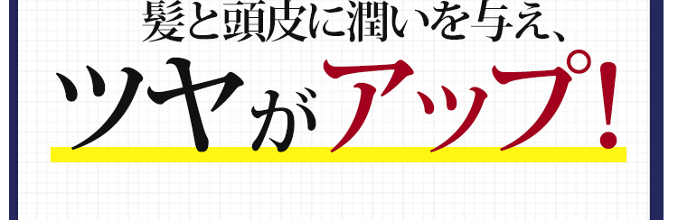 髪と頭皮に潤いを与え、ツヤがアップ!