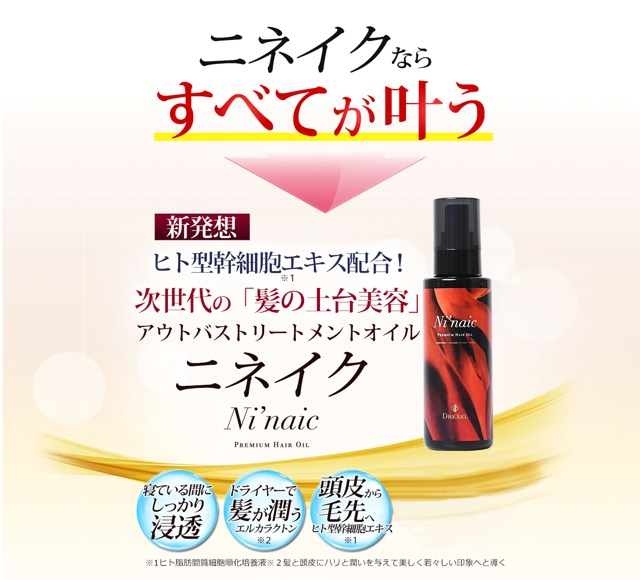 ニネイクならすべてが叶う