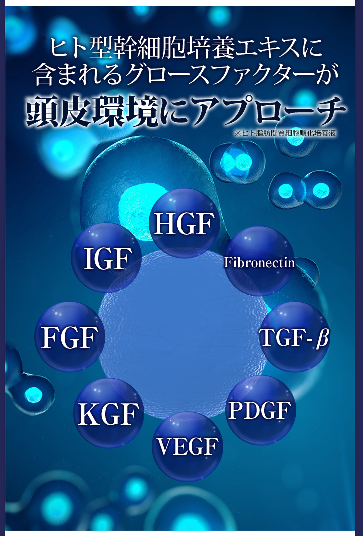 ヒト型幹細胞に含まれる成長因子 GF