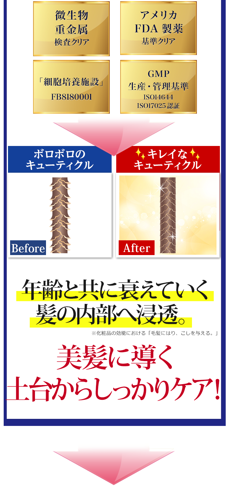 お肌だけでなく、美髪にも土台から立て直す!